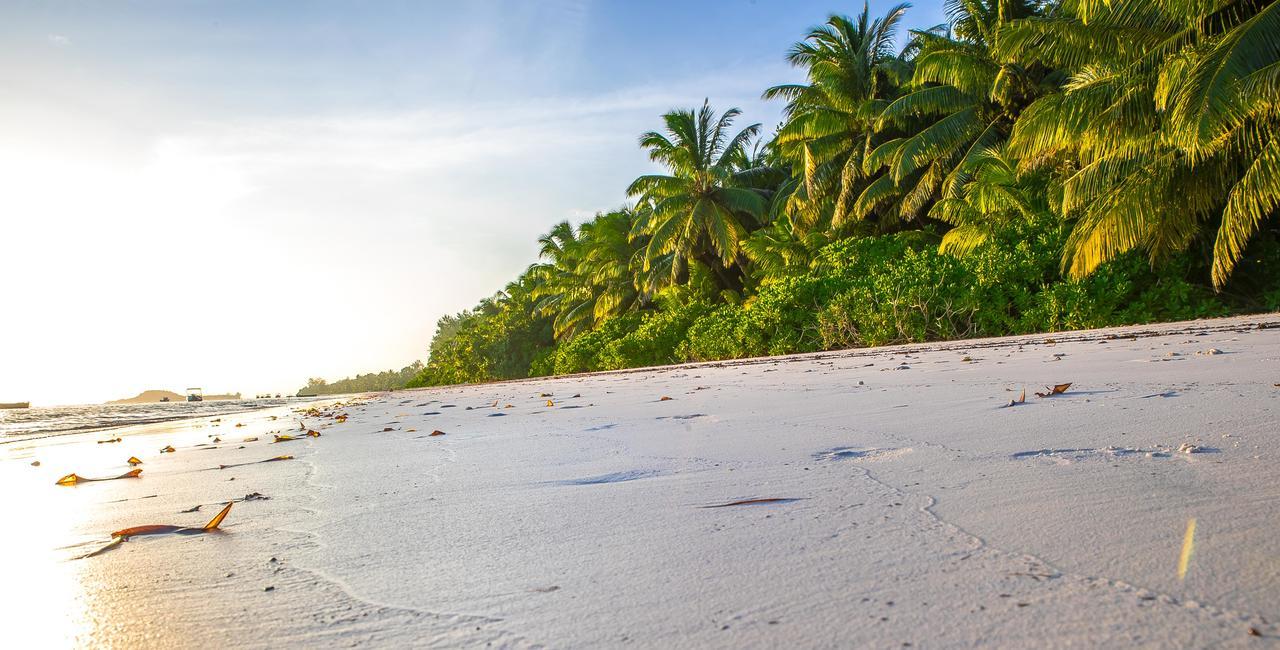 Oasis Hotel Restaurant & Spa Grand Anse  Ngoại thất bức ảnh